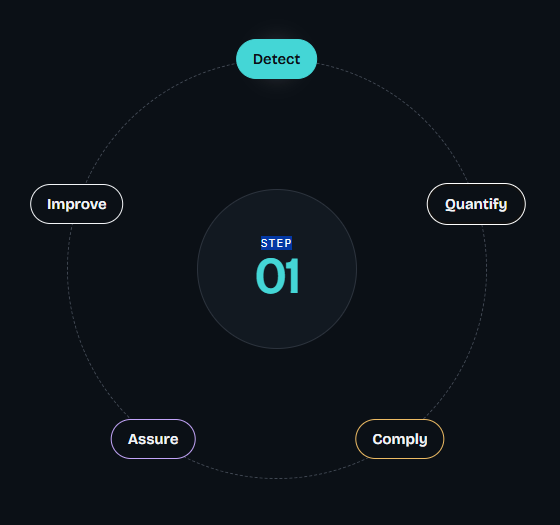 Continuous loop: Detect, Quantify, Comply, Assure, Improve