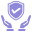 Safer Icon